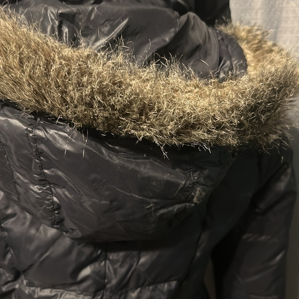 Woman Mountain Horse Coat - Picture 8 of 15